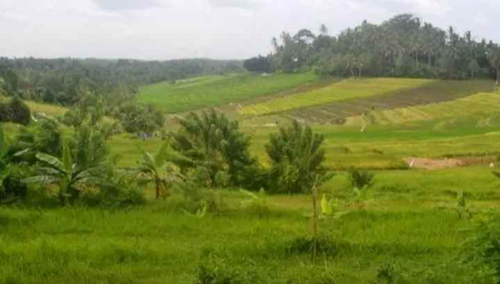 tanah gunung salak selemadeg