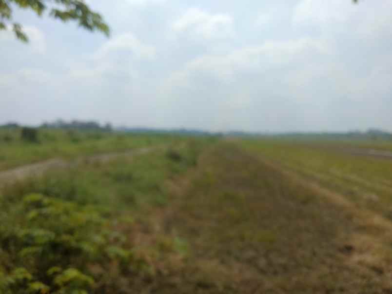 tanah industri mojokerto murah dekat tol mlirip