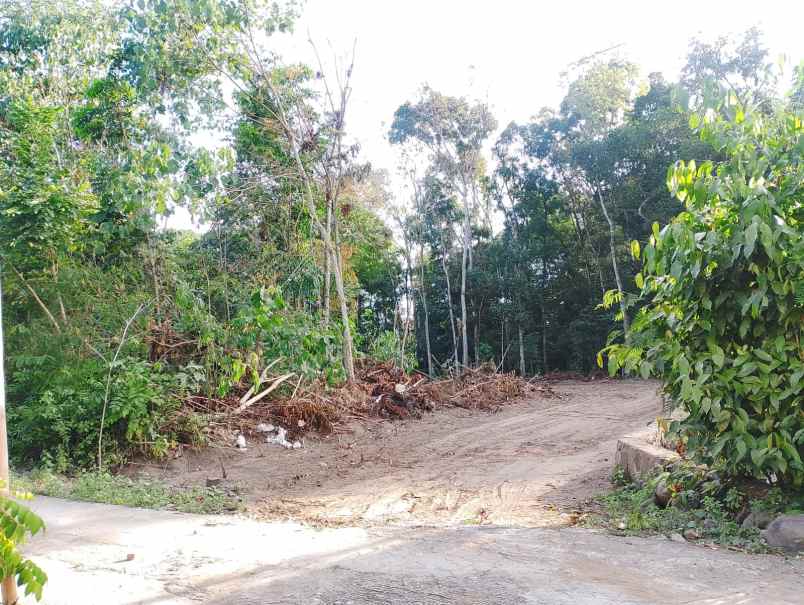 tanah kavling murah timur pasar jangkang