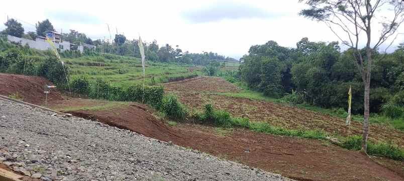 tanah kavling puncak ciawi bogor