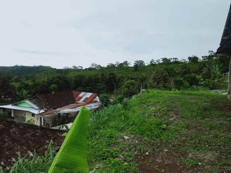 tanah kawasan wisata alam