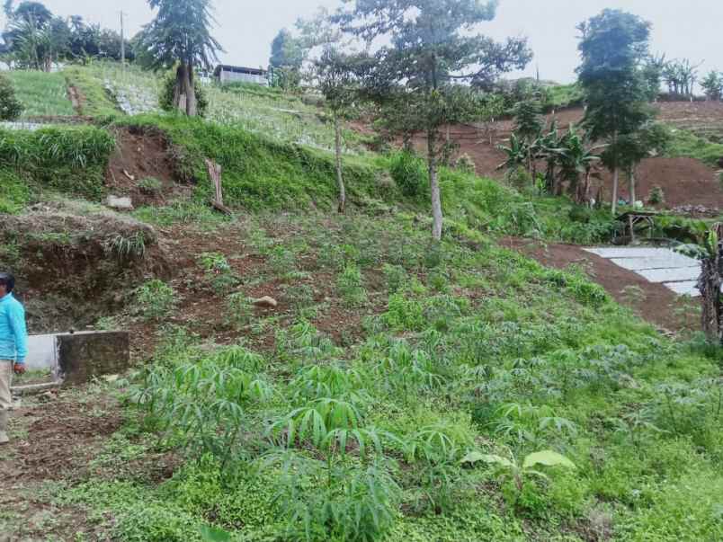 tanah kawasan wisata alam