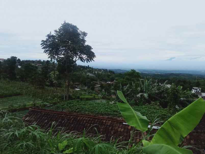 tanah kawasan wisata alam