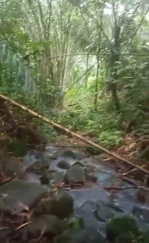 tanah kebun view sungai di selemadeg tabanan bali