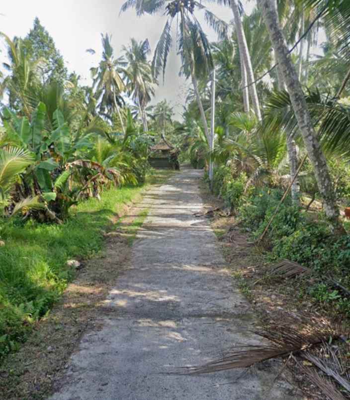 tanah kebun view sungai di selemadeg tabanan bali