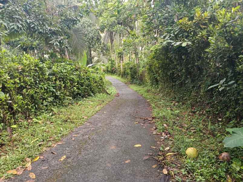 tanah kebun view sungai di selemadeg tabanan bali