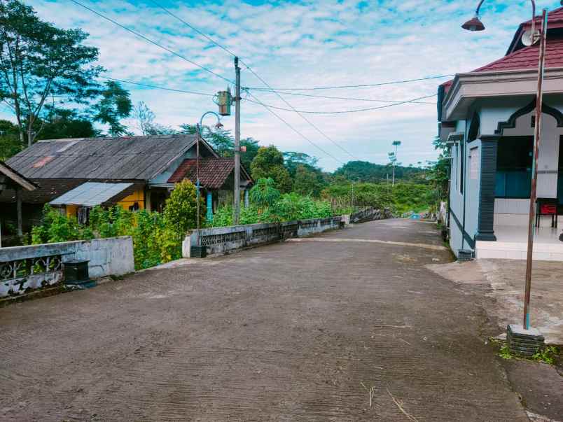 tanah kemuning ngargoyoso