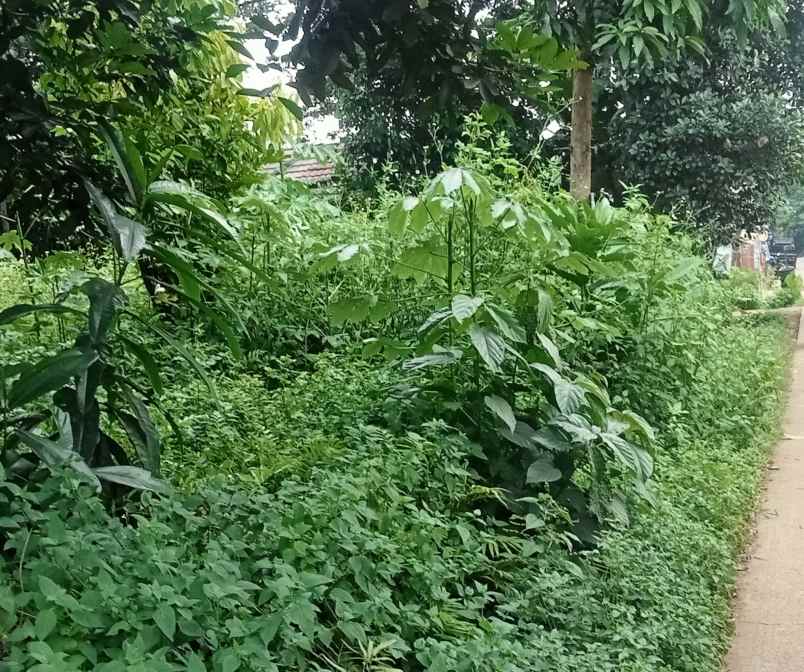 tanah komersil 1277 m2 setu bekasi