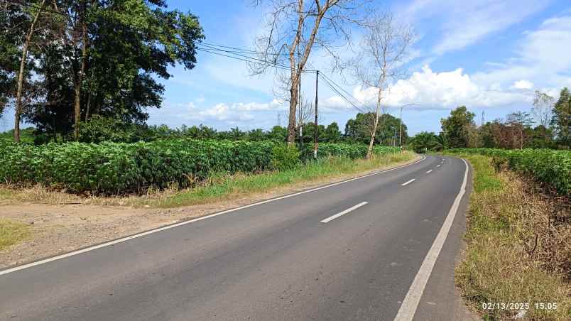 tanah luas 14 hektar di lampung tengah