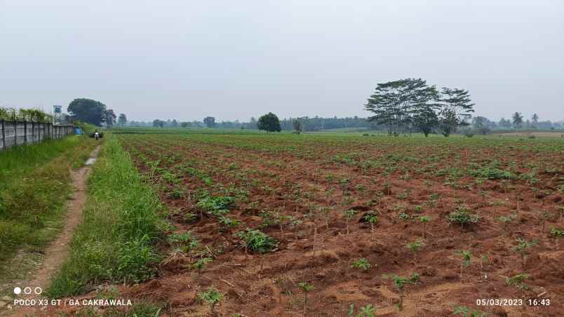 tanah luas 7 hektar di jalan lintas sumatera surat shm