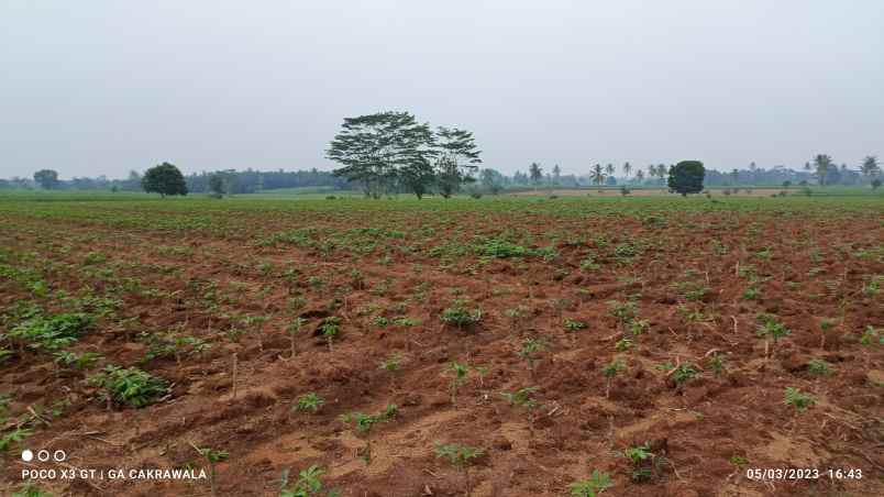 tanah luas 7 hektar di jalan lintas sumatera surat shm