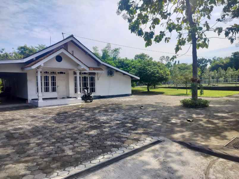 tanah luas lokasi strategis dekat stadion maguwoharjo