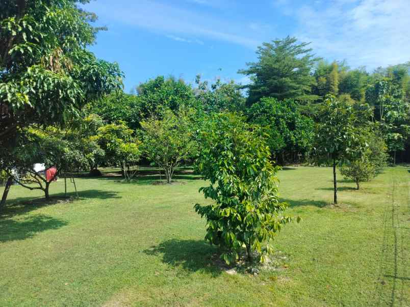 tanah luas lokasi strategis dekat stadion maguwoharjo