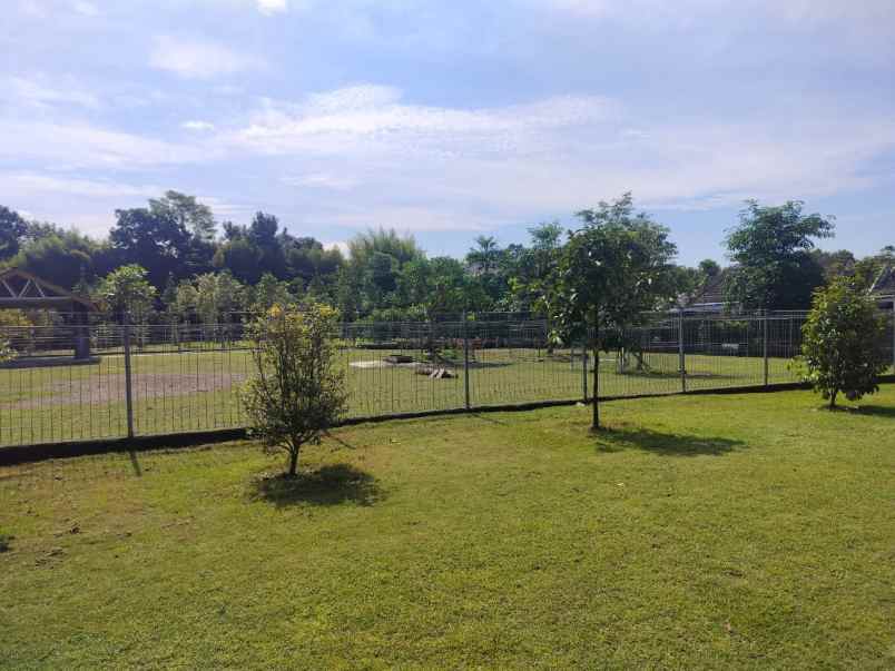 tanah luas lokasi strategis dekat stadion maguwoharjo