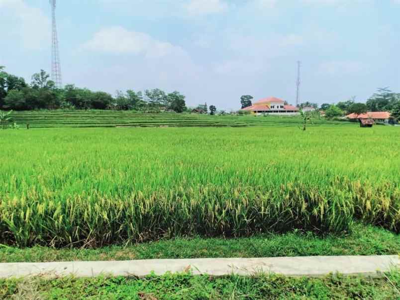 tanah mojogedang karanganyar