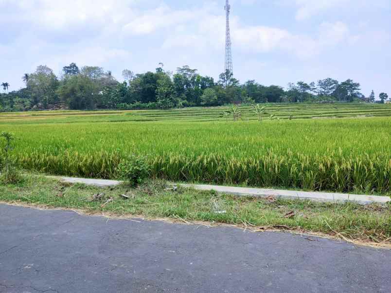 tanah mojogedang karanganyar