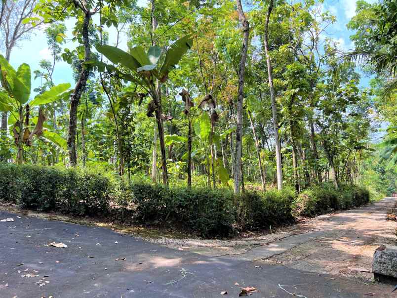 tanah mojogedang karanganyar jateng