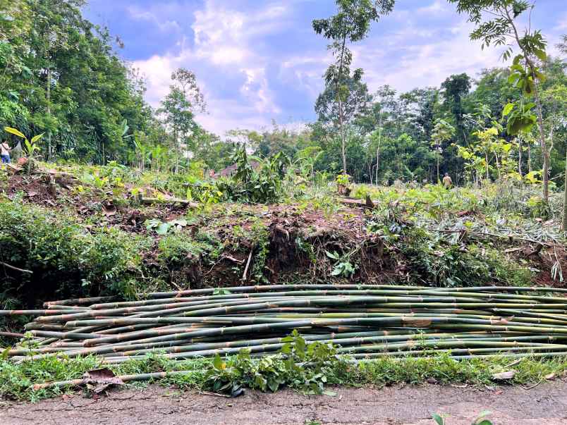 tanah mojogedang karanganyar jateng