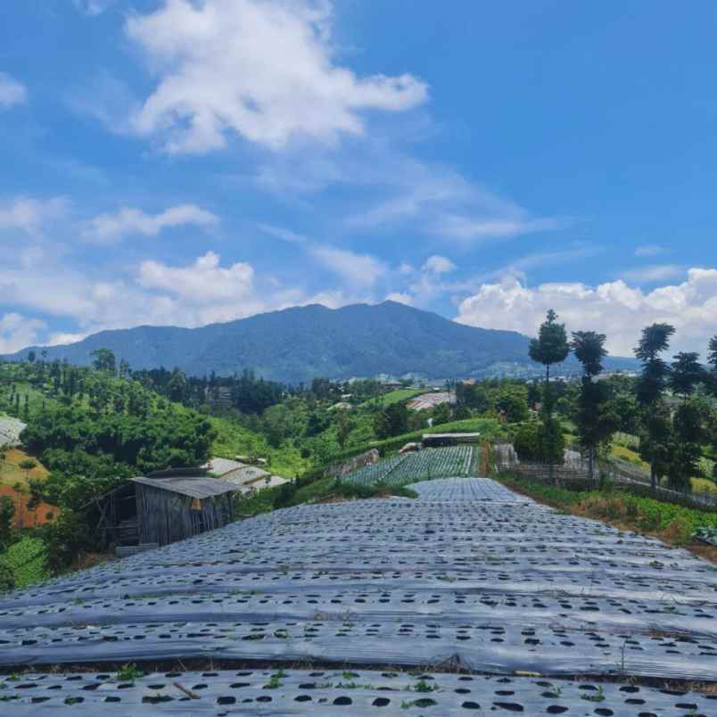 tanah murah dekat stasiun kereta cepat padalarang