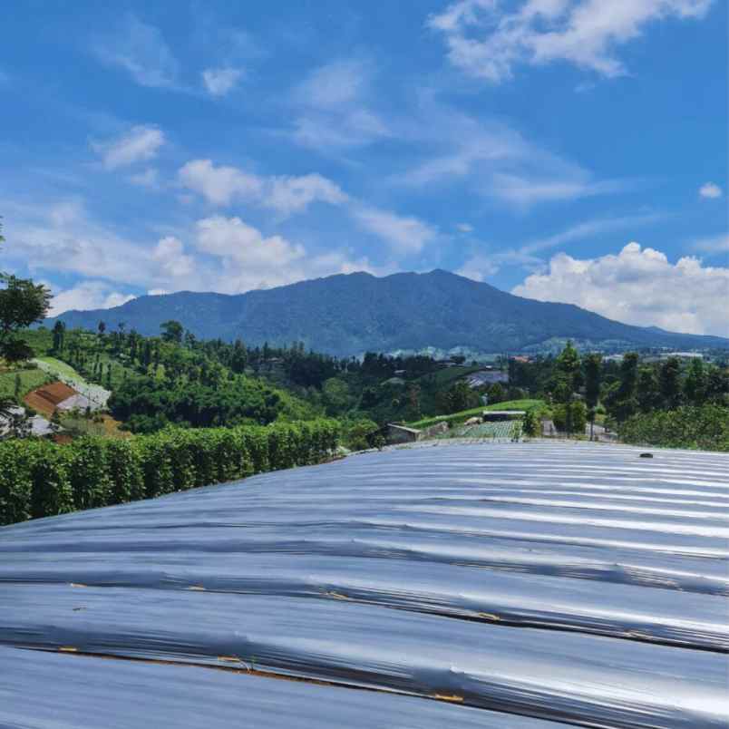 tanah murah dekat stasiun kereta cepat padalarang