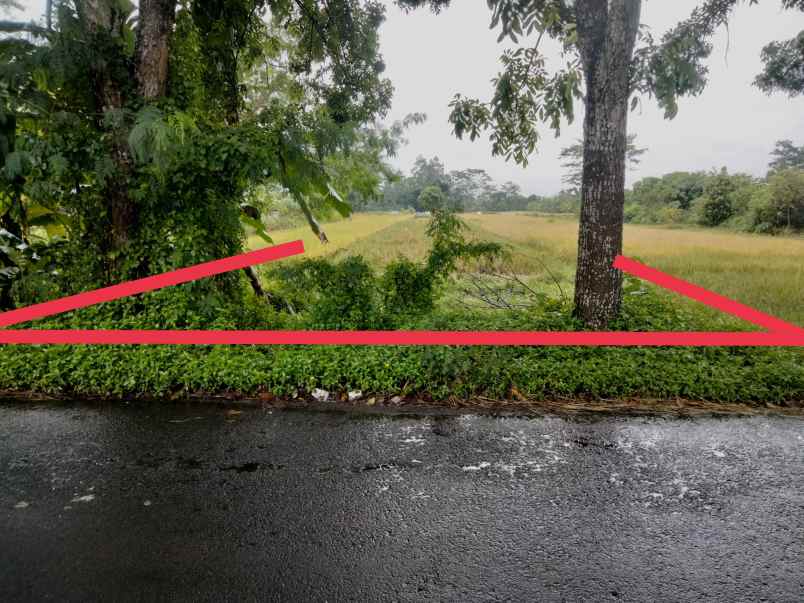 tanah plaosan tlogoadi selatan