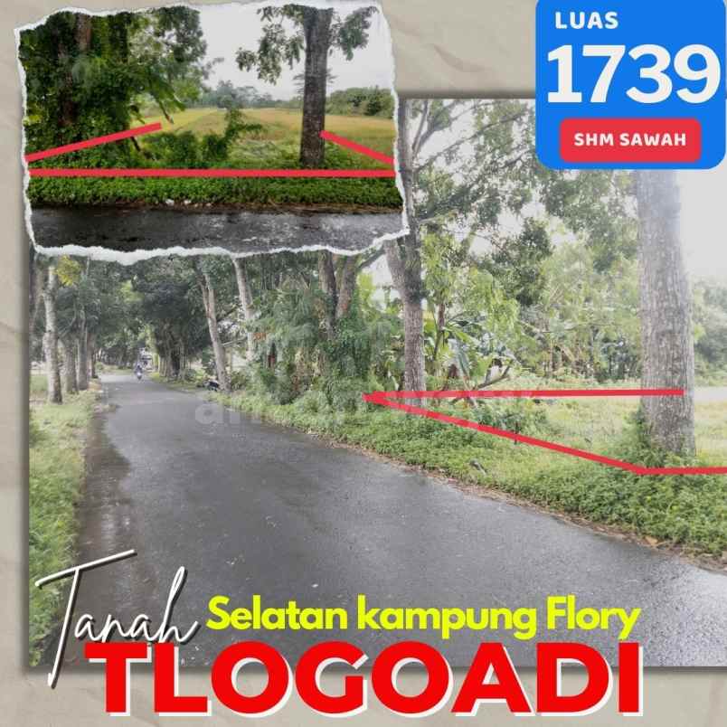 tanah plaosan tlogoadi selatan