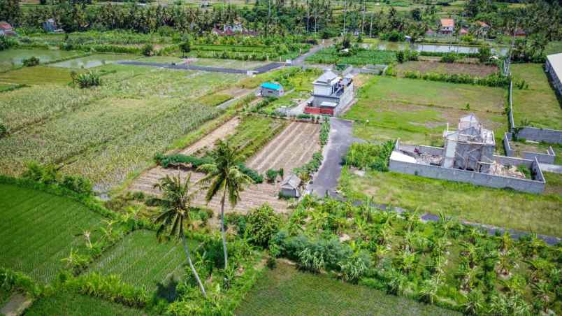 tanah saba blabatuh gianyar
