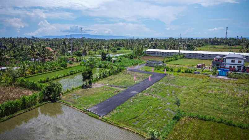 tanah saba blabatuh gianyar