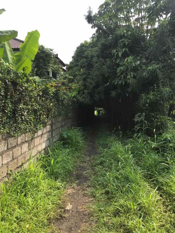 tanah situ gede dermaga bogor