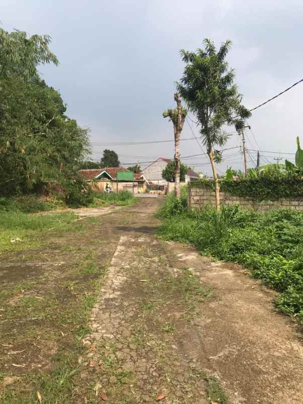 tanah situ gede dermaga bogor