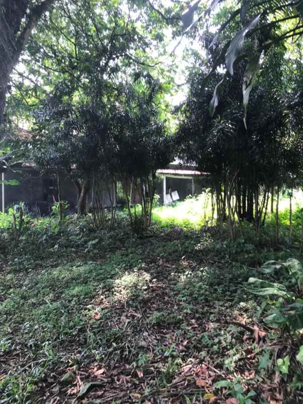 tanah situ gede dermaga bogor