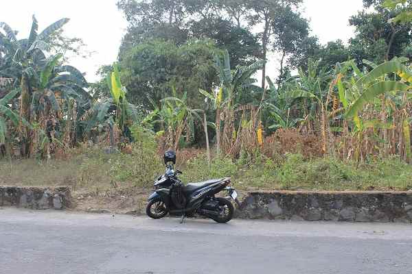 tanah strategis cocok untuk perumahan di purwomartani