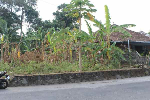 tanah strategis cocok untuk perumahan di purwomartani