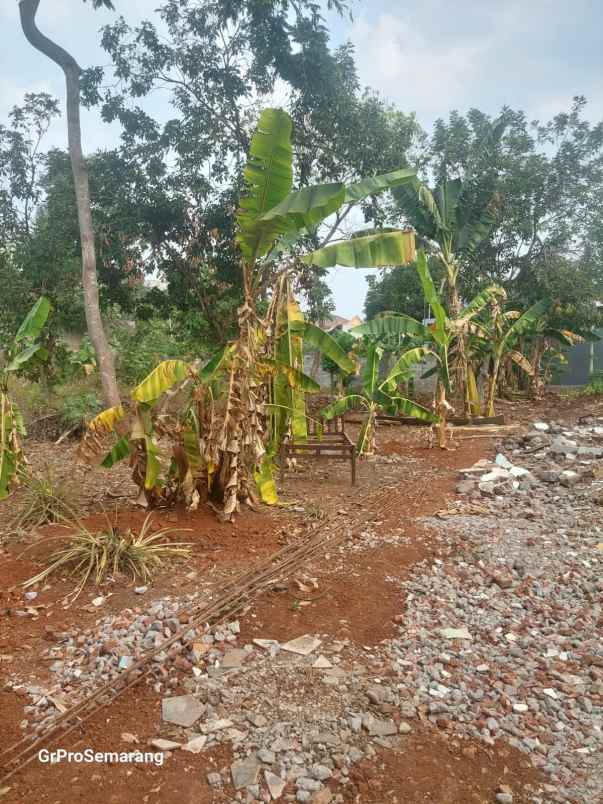tanah strategis tirto agung 2 menit ke pintu tol