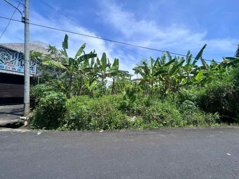 tanah strategis view sawah di tumbak bayuh canggu