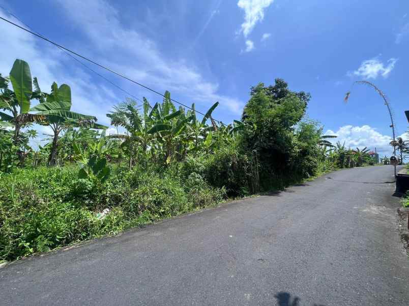 tanah strategis view sawah di tumbak bayuh canggu