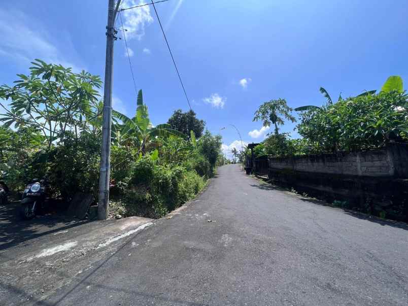 tanah strategis view sawah di tumbak bayuh canggu