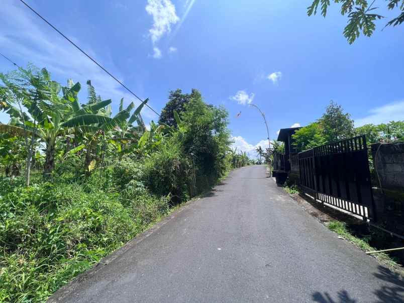 tanah strategis view sawah di tumbak bayuh canggu