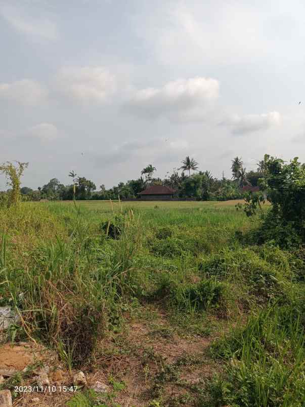 tanah view sawah dekat exit toll tabanan bali