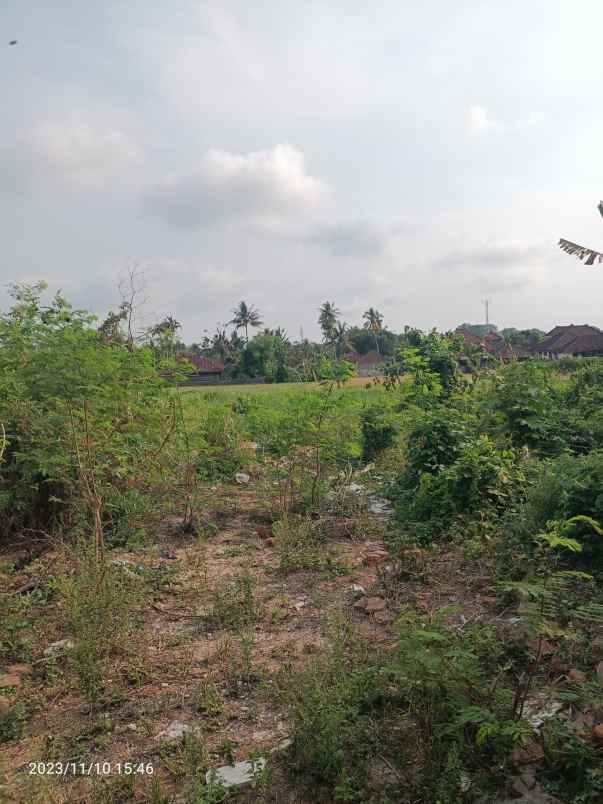 tanah view sawah dekat exit toll tabanan bali