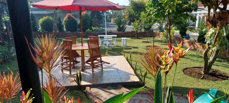 villa clasik full kayu jati dijual di cilimus kuningan