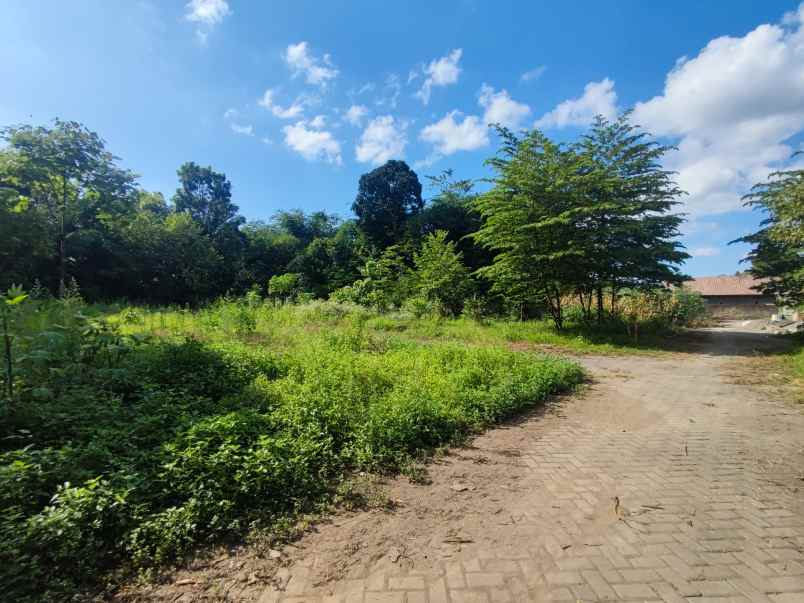 cocok investasi tanah dijual