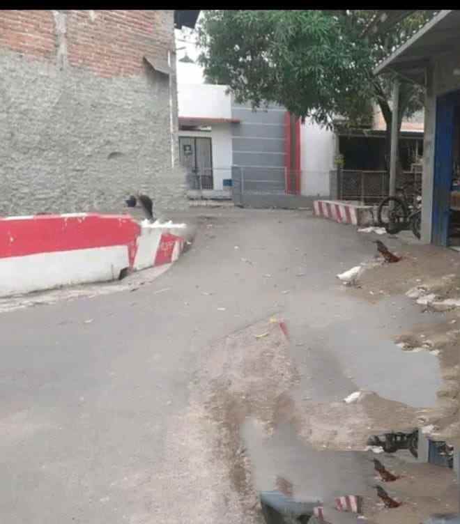 d jual tanah strategis