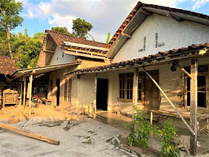 dijual rumah asri tengah sawah kedawung sragen