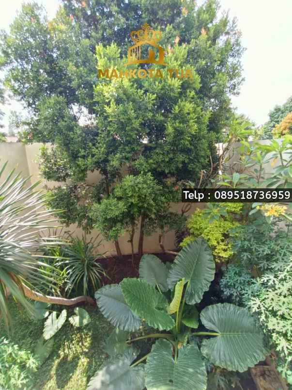 dijual rumah pejaten barat