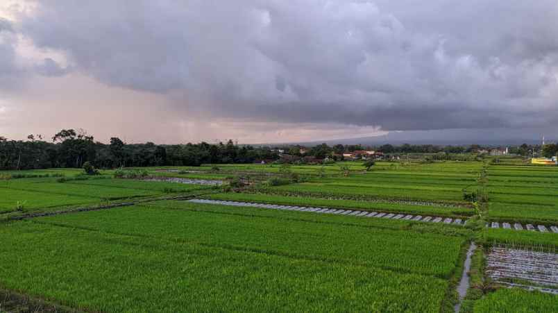 dijual rumah tamanmartani