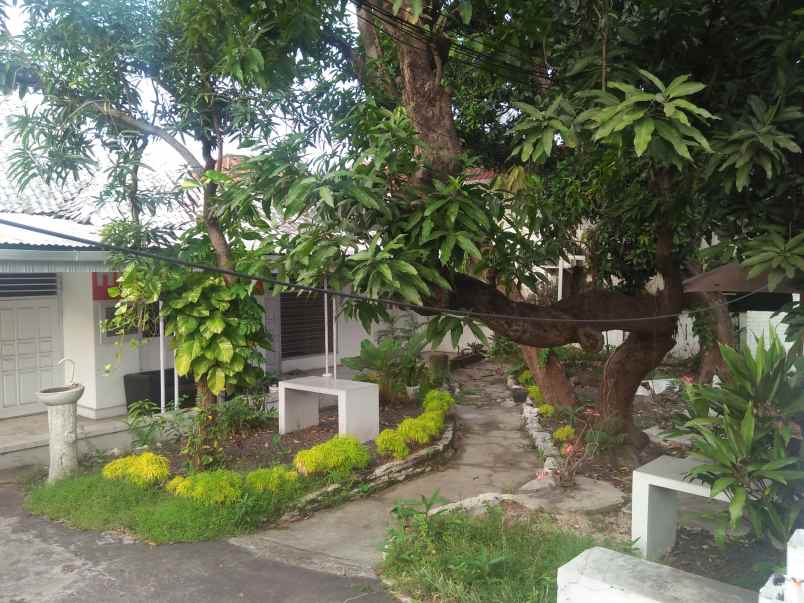 dijual rumah tepi jalan besar pasuruan kota