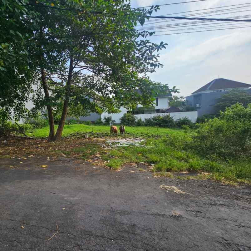 dijual tanah bumbak umalas