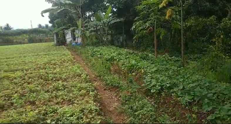 dijual tanah cimanggu 2 cibungbulan