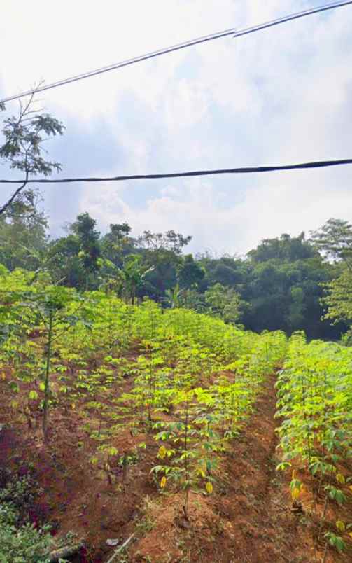 dijual tanah cimanggung